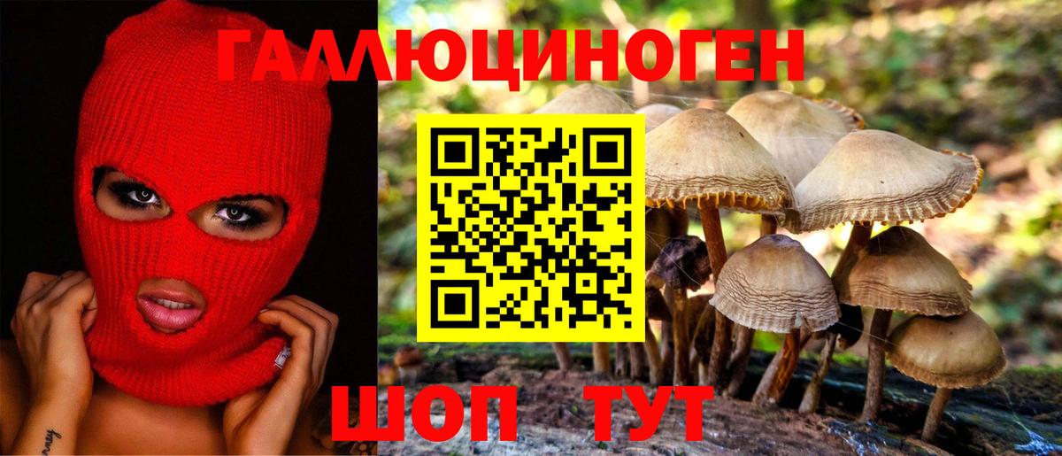 Псилоцибиновые грибы Magic Shrooms  Вход с VPN  Псилоцибиновые грибы Psilocybine cubensis  Кизилюрт 